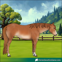 Horse Color:Chestnut  and Chestnut 