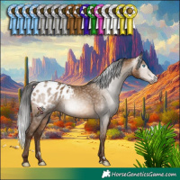 Horse Color:Gray Amber Champagne Appaloosa Rabicano