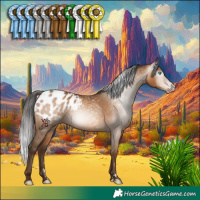 Horse Color:Gray Amber Champagne Appaloosa Rabicano