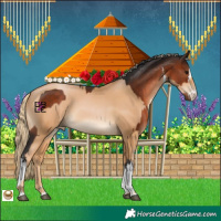 Horse Color:White Spotted Brown and Chestnut Pearl