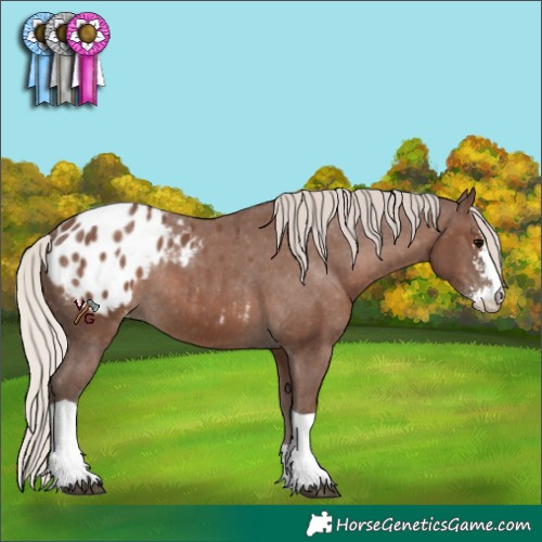 Horse Color:Silver Black Sabino Tobiano Blanket Rabicano