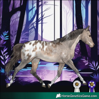 Horse Color:White Spotted Brown Dun Tobiano Appaloosa Rabicano