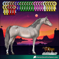 Horse Color:White Spotted Brown Tobiano Varnish Rabicano