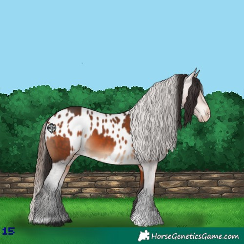 Horse Color:Bay  and Bay Blanket 