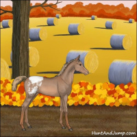 Horse Color:Red Roan Sabino Snowcap 