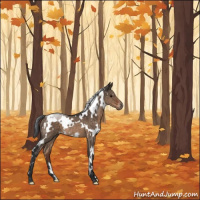 Horse Color:White Spotted Brown Dun Rabicano 