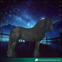 Horse Color:Black 