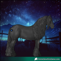 Horse Color:Black 