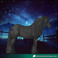 Horse Color:Black 
