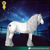 Horse Color:Silver Grullo Roan Splash Varnish 