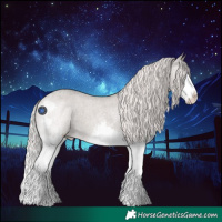 Horse Color:Silver Grullo Roan Splash Appaloosa 