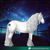 Horse Color:Silver Blue Roan Splash Varnish 