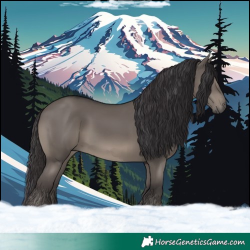 Horse Color:Smoky Grullo 