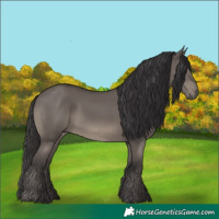 Horse Color:Smoky Grullo