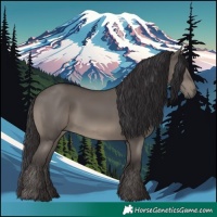 Horse Color:Smoky Grullo 
