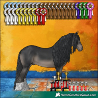 Horse Color:Black 