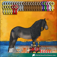 Horse Color:Black 