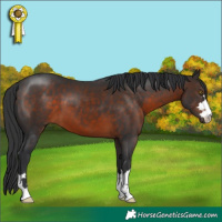 Horse Color:Brown 