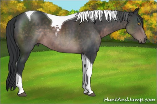 Horse Color:Platinum Brown Tobiano 
