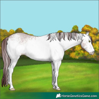 Horse Color:Platinum White Spotted Chocolate Bay Dun 