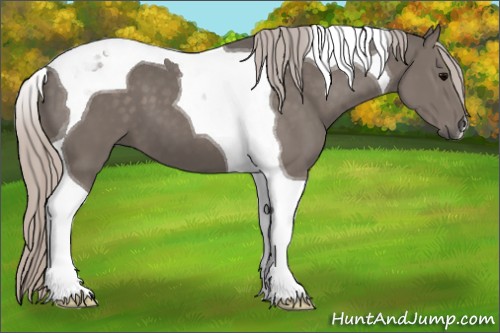 Horse Color:Silver Black Tobiano 