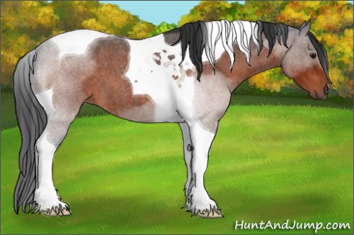 Horse Color:Brown Roan Tobiano 