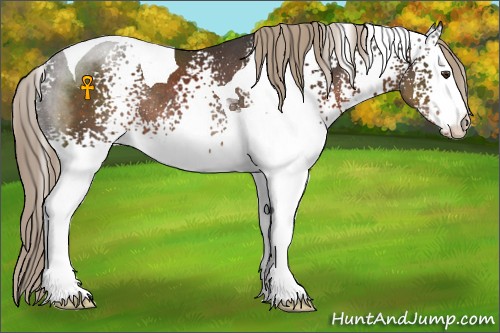 Horse Color:White Spotted Liver Chestnut Tobiano Rabicano 