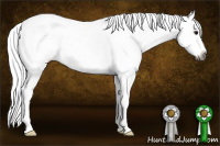 Horse Color:Gray Smoky Black Sabino