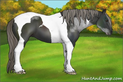 Horse Color:Liver Chestnut Mushroom Tobiano 