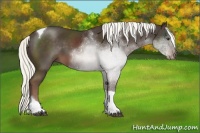 Horse Color:Liver Chestnut Mushroom Tobiano 