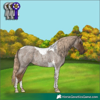 Horse Color:Chocolate Palomino Roan Tobiano 