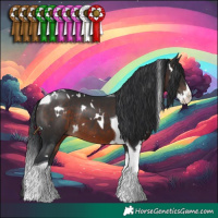 Horse Color:White Spotted Brown Splash Tobiano Rabicano 