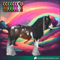 Horse Color:White Spotted Brown Splash Tobiano Rabicano 