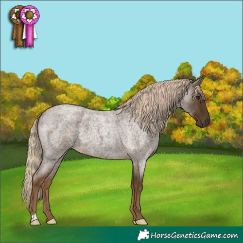 Horse Color:Chocolate Palomino Roan