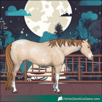 Horse Color:Brown Pearl Dun Sabino Tobiano Rabicano 