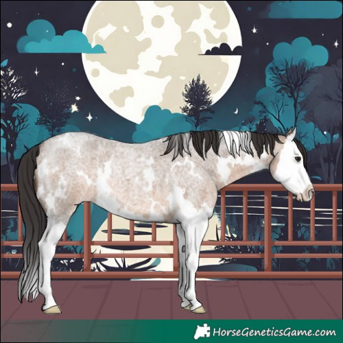 Horse Color:White Spotted Brown Roan Dun Splash 