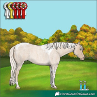 Horse Color:Cremello Roan Tobiano 