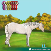 Horse Color:Cremello Roan Tobiano 