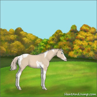 Horse Color:Cremello Splash Tobiano
