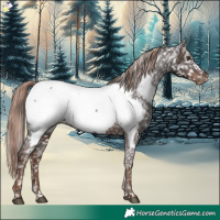 Horse Color:Liver Chestnut Near Fewspot Rabicano 