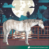 Horse Color:White Spotted Silver Brown Dun