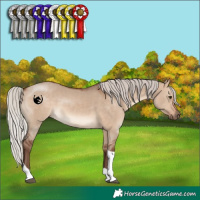 Horse Color:Silver Bay Dun Tobiano Rabicano 