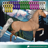 Horse Color:Silver Bay Dun Tobiano Rabicano 