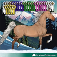 Horse Color:Silver Bay Dun Tobiano Rabicano 