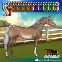 Horse Color:Silver Bay Dun Tobiano Rabicano 