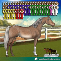 Horse Color:Silver Bay Dun Tobiano Rabicano 