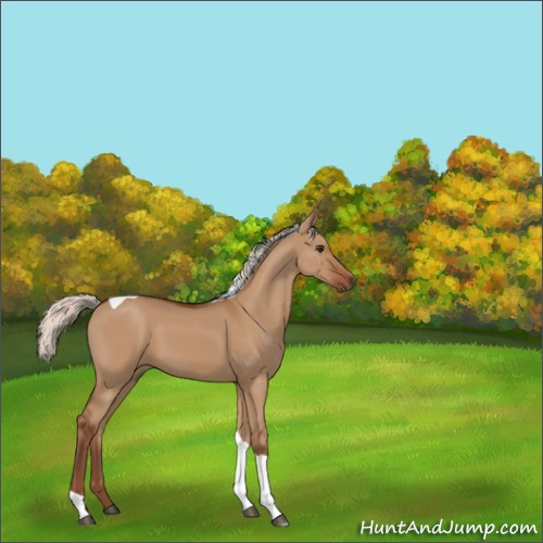 Horse Color:Silver Bay Dun Tobiano Rabicano 