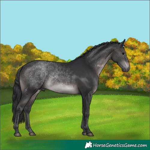 Horse Color:Platinum Brown 