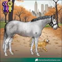 Horse Color:Gray Brown Roan Splash Rabicano 