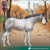 Horse Color:Gray Brown Roan Splash Rabicano